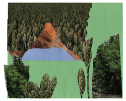 Untitled, by Skylar age 11